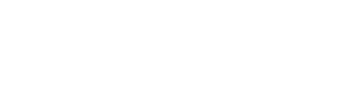 Castone Logo